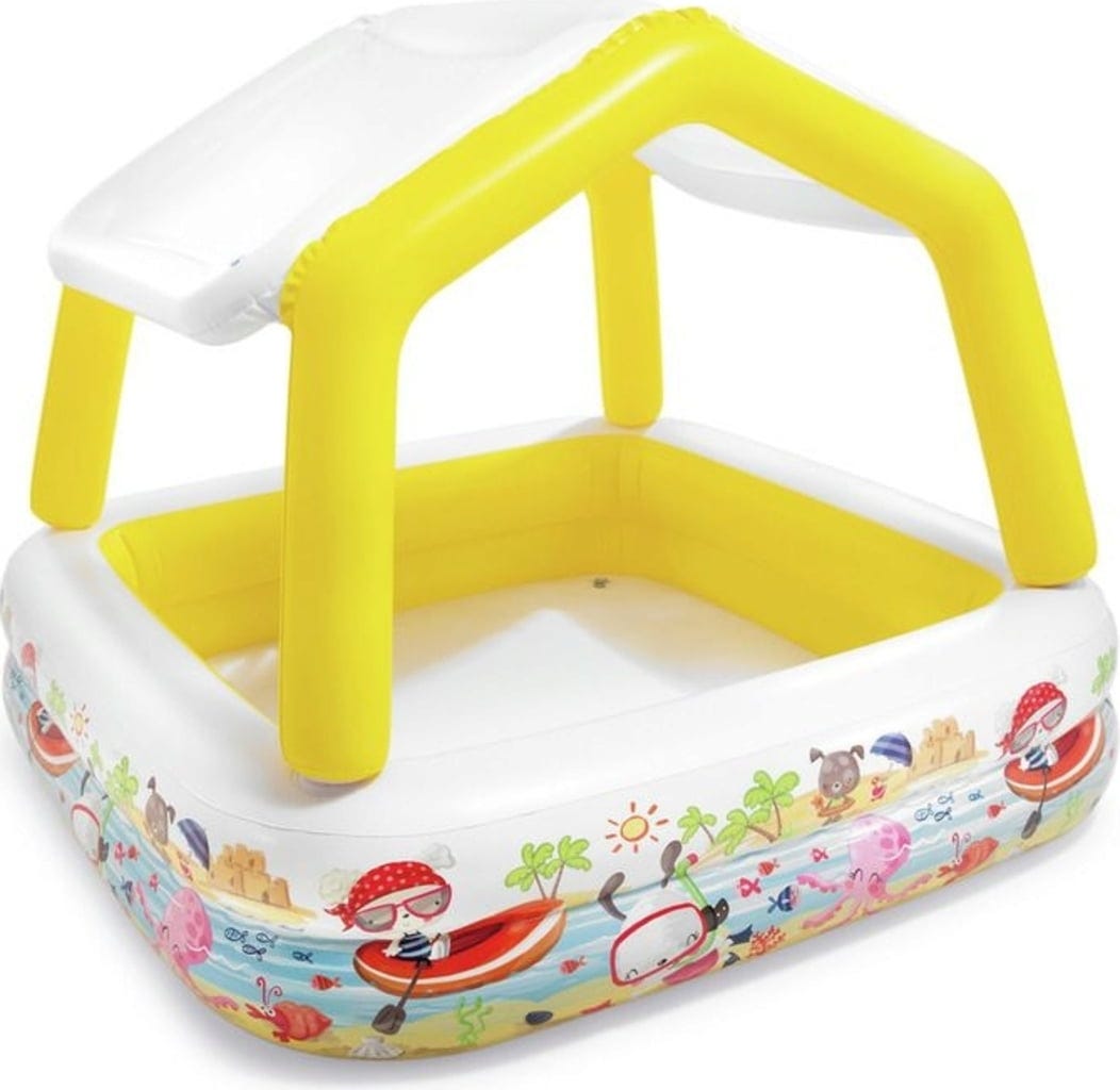 Intex Sun Shade Pool